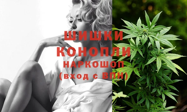 сатива Заволжье