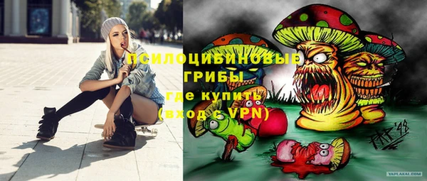 сатива Заволжье