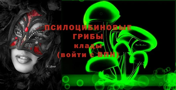 марки nbome Заводоуковск